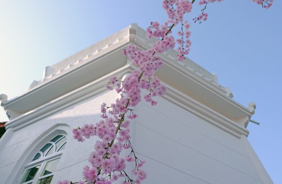 at SAKURA Fukuoka,Saga