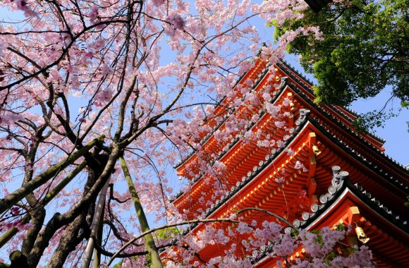 at Hakata Fukuoka