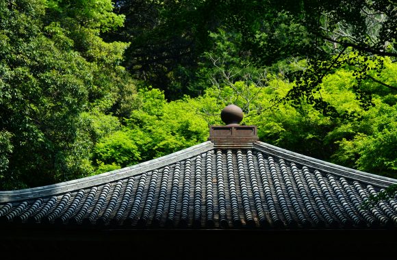 at Bungotakata Oita(国宝;富貴寺)