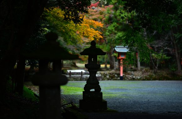 at Oita