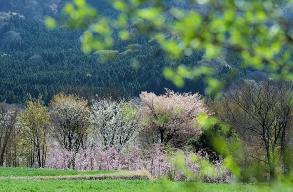 at Kumamoto GFX50s & GF110F2.0