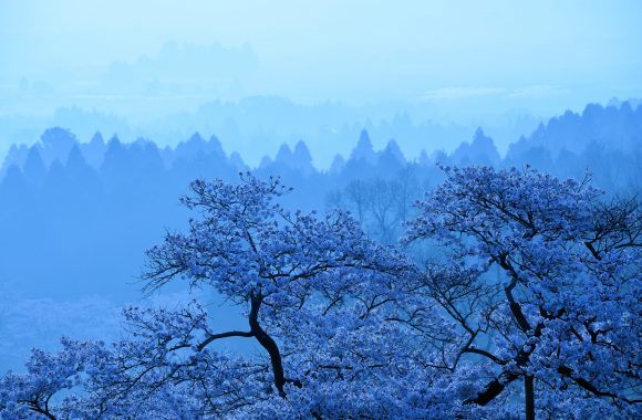 at Kumamoto By Df