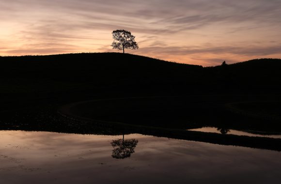 at Kumamoto by GFX50s & GF45F2.8