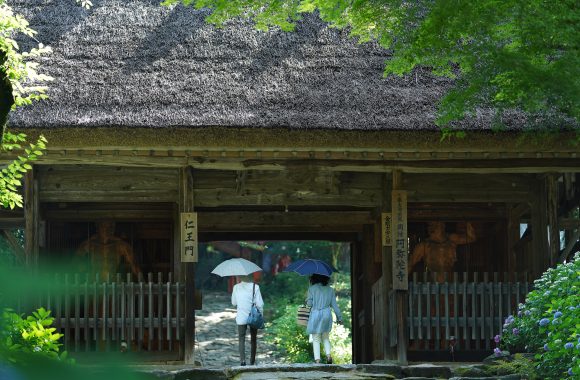 at Yamaguchi