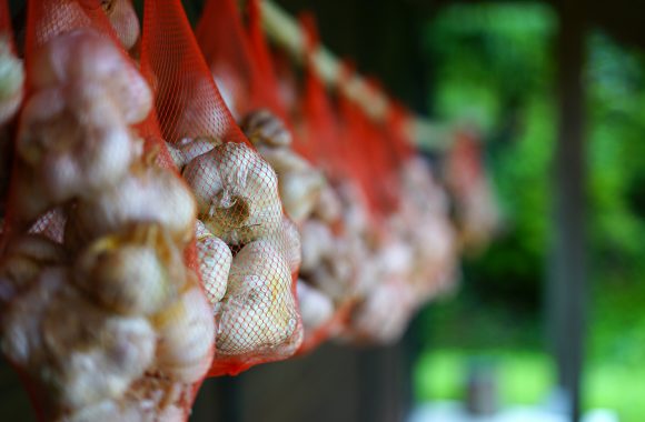at Fukuoka by α7RⅡ & L50F2.0