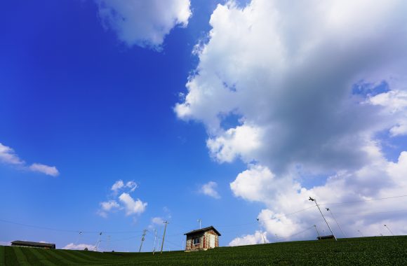 at FUKUOKA by α7RⅣ & A14_24F2.8DN