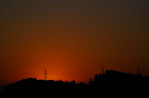at 大分 α7RⅢ & FE135F1.8GM