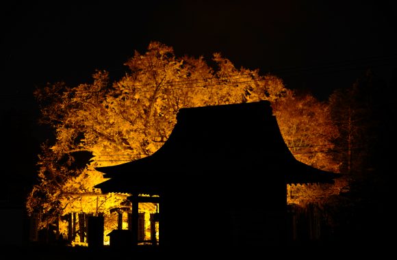 at OITA by α7RⅢ & V65F2.0APO/FE135F1.8GM