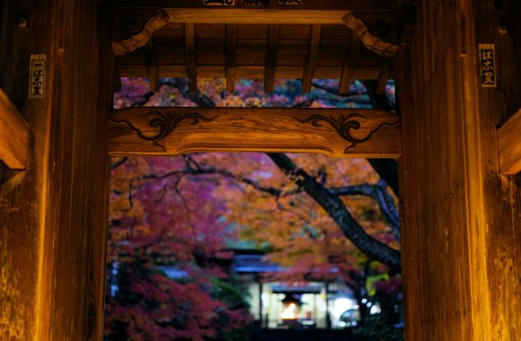 at SAGA by α7RⅢ & V65F2.0APO