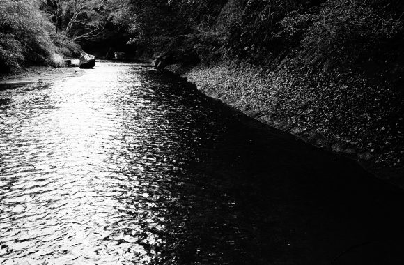 at OITA by α7RⅣ & L21F2.8