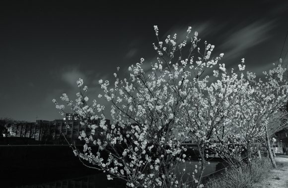 at FUKUOKA GFX50s & GF23F4