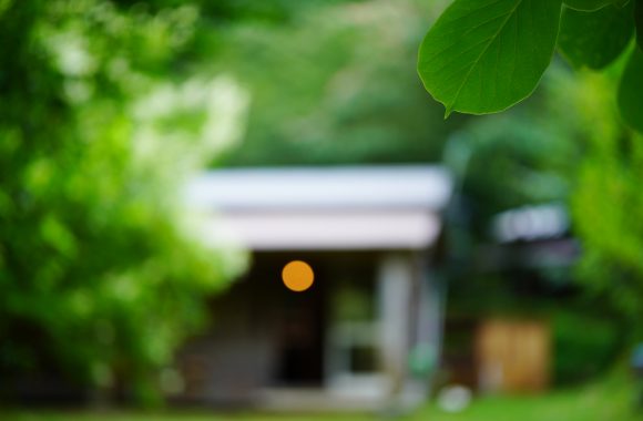 at SAGA α7RⅣ & V50F2.0APO