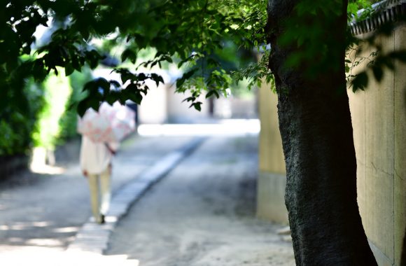 at FUKUOKA by D850 & A105F1.4