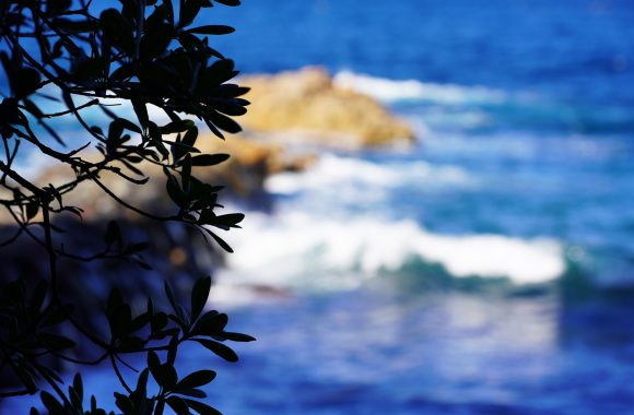 at SHIMANE by α7RⅣ & A105F2.8DN