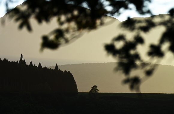at ASO by α7RⅢ& A85F1.4dn and Z7 & Z70/200S2.8s