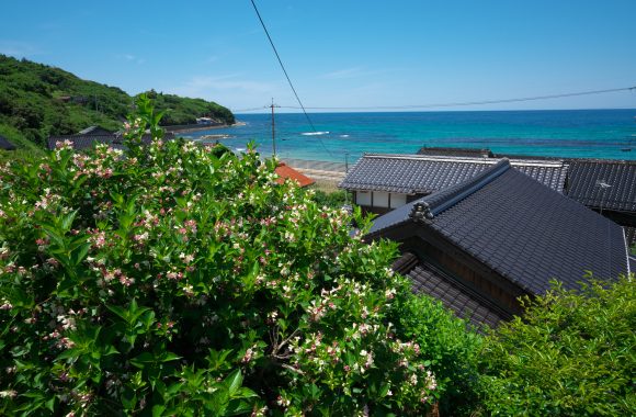 at OODA SHIMANE by α7RⅢ& I24F2.0dn