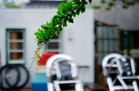 at YAMAGUCHI by T4 & XF33F1.4