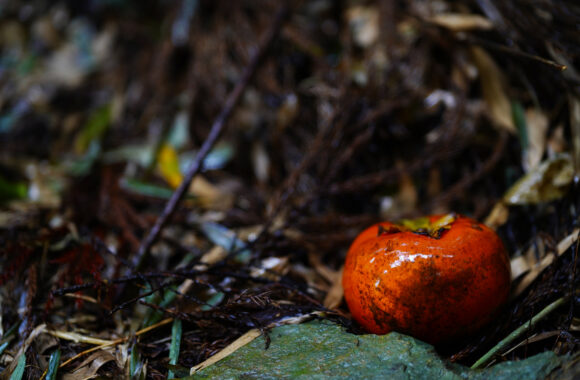 at FUKUOKA by α7RⅢ & A85F1.4DN