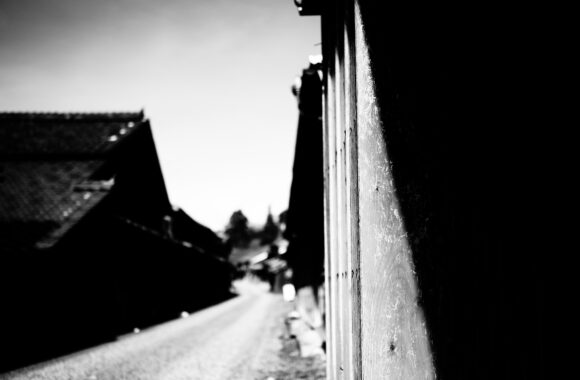 at OKAYAMA by Z7 & Z35F1.8s