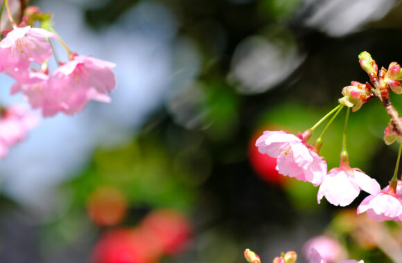 at FUKUOKA X-T4 & XF90F2.0WR