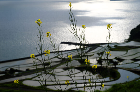 at NAGASAKI by X-H2 & XF18-120F4PZ