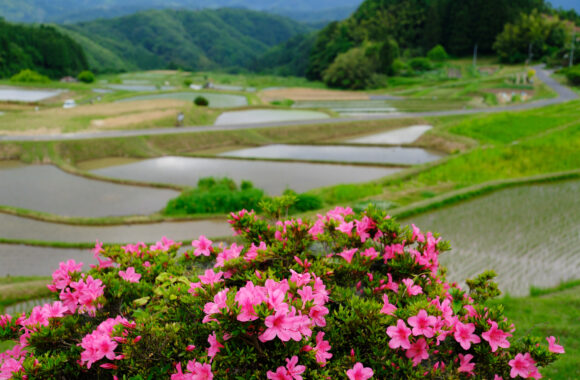 at SANIN by X-H2 & XF18-120F4PZ