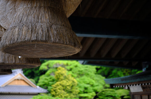 at SHIMANE by X-T4 & XF56F1.2R