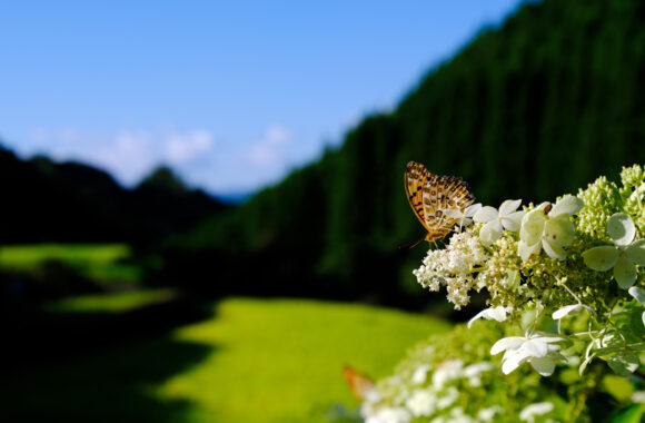 at FUKUOKA by GFX100sⅡ & GF35-70F4.5