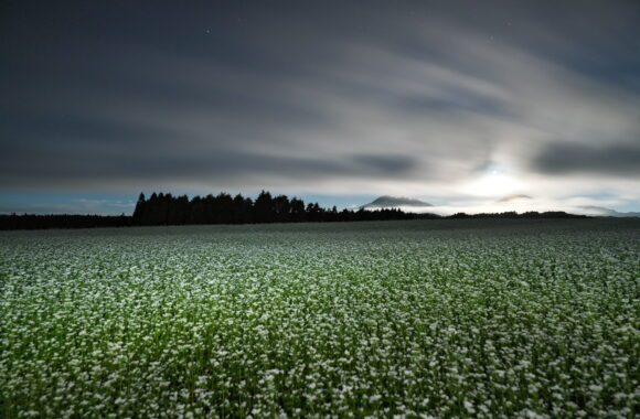 at KUMAMOTO by α7R5 & A20F1.4DN