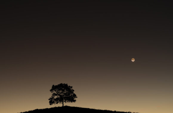 at KUMAMOTO by GFX100sⅡ & GF45-100F4.0