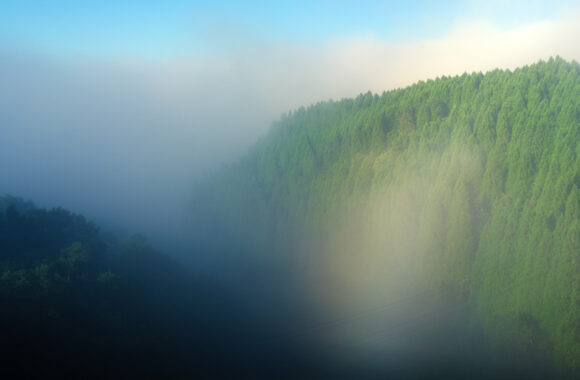 at KUMAMOTO by GFX100sⅡ & GF45-100F4.0