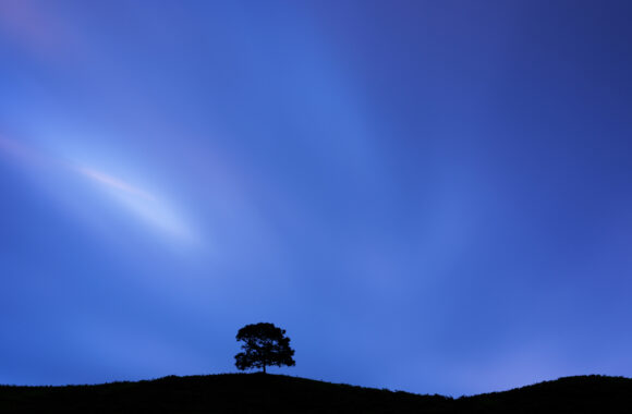 at KUMAMOTO by GFX100s2 & GF45-100F4.5