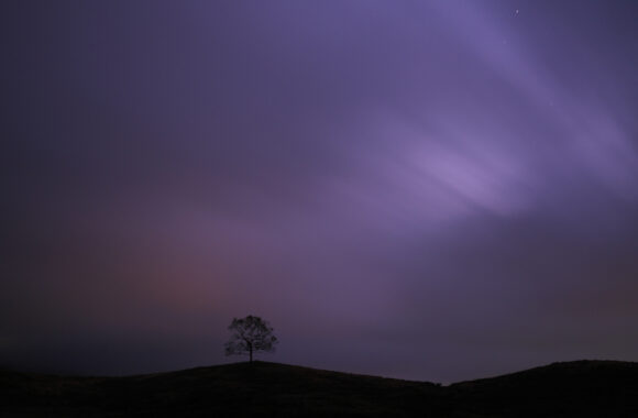 at KUMAMOTO by α7R5 & A28-45F1.8DN