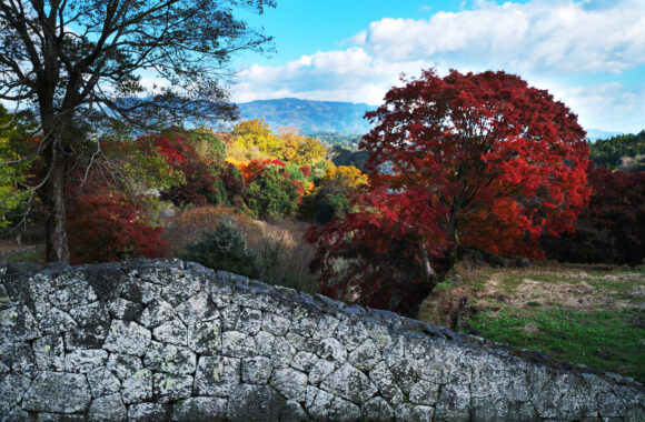 at OITA by α7R5 & A28-45F1.8DN