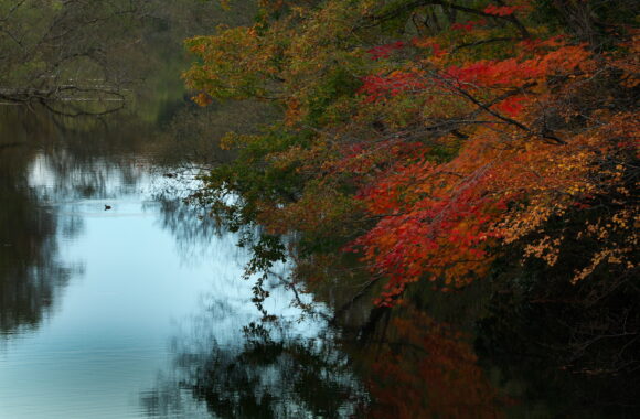 at HIROSHIMA by α7c2 & T28-75F2.8