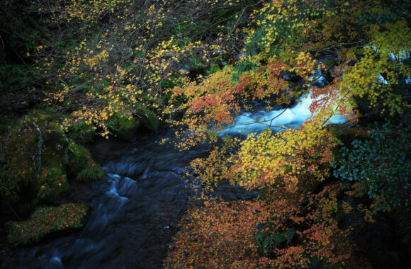 at OITA by α7c2 & VM50F3.5APO