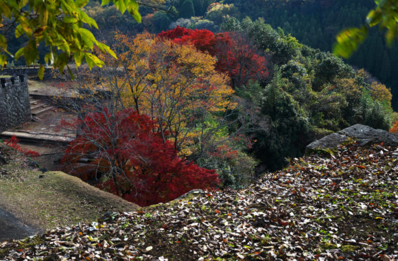 at OITA by α7R5 & A28-45F1.8DN