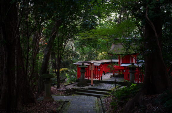 at OITA by α7R5 & A28-45F1.8DN