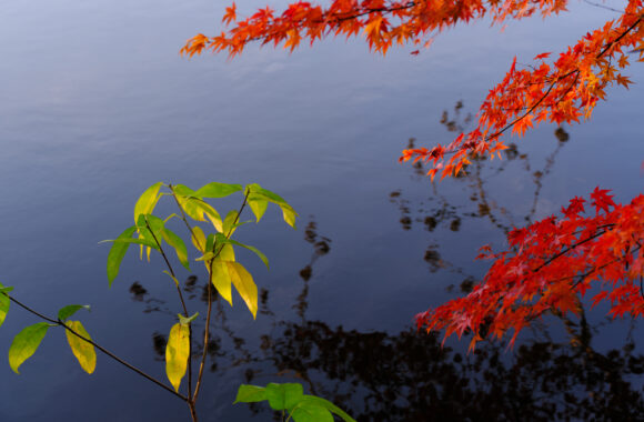 at OITA by GFX100s2 & GF45-100F4.0