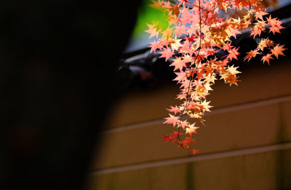 at OITA by XH-2 & XF56F1.2