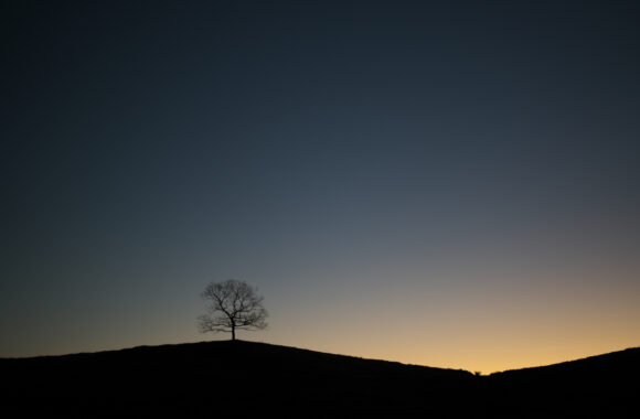 at KUMAMOTO by α7R5 & A28-45F1.8DN