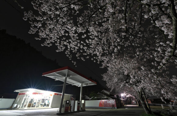 at OKAYAMA by α7R2 & FE14F1.8GM