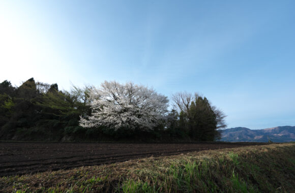 at KUMAMOTO by α7c2 & FE14F1.8GM