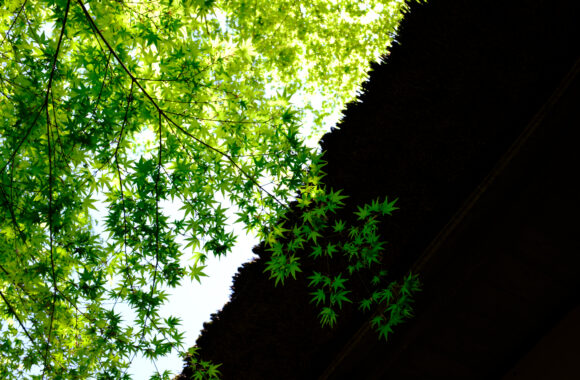 at FUKUOKA by GFX100RF