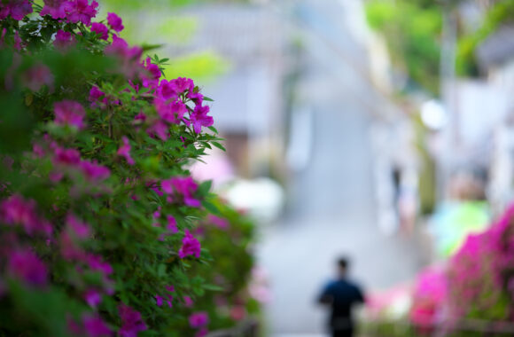 at SAGA by D850 & A105F1.4