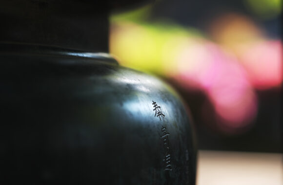 at SAGA by D850 & A105F1.4