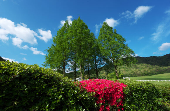 at YAMAGUCHI by α7c2 & FE14F1.8DN