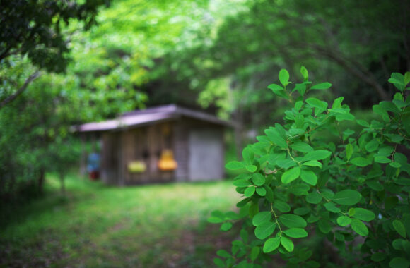 at SAGA by α7c2 & VM40F1.4