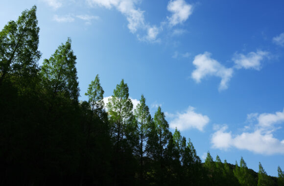 at YAMAGUCHI by GFX100RF