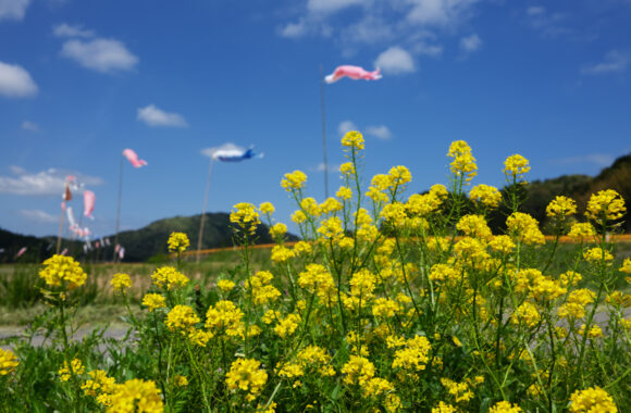 at YAMAGUCHI by GFX100RF